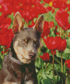 Brown Dog In Tulips Field Diamond Painting