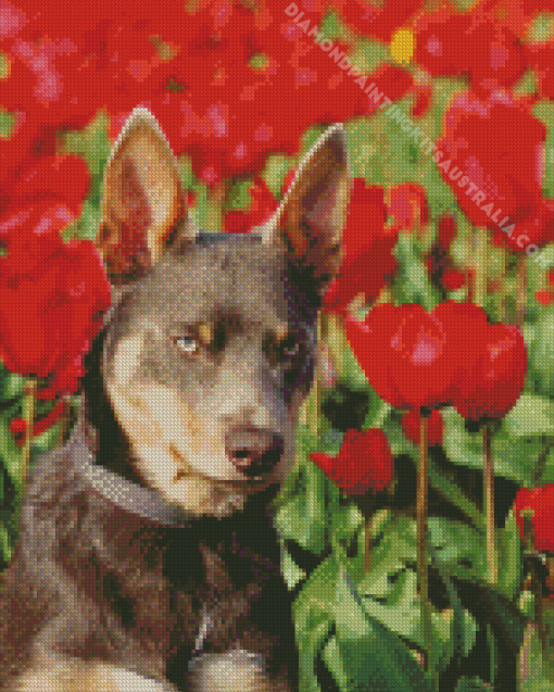 Brown Dog In Tulips Field Diamond Painting