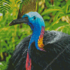 Cassowary Diamond Painting