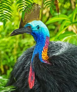 Cassowary Diamond Painting