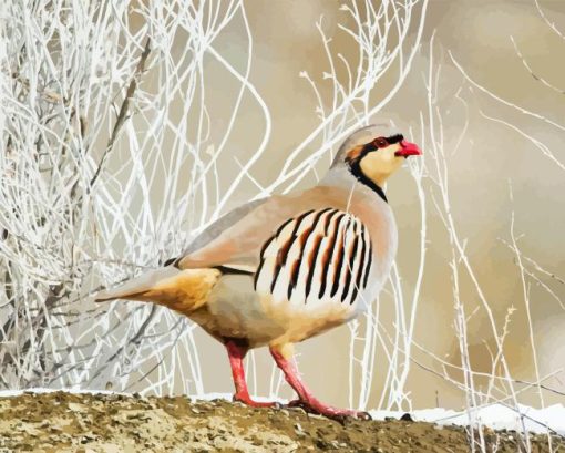 Chukar Diamond Painting