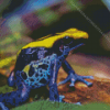 Dart Frogs Diamond Painting