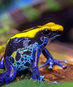 Dart Frogs Diamond Painting