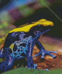 Dart Frogs Diamond Painting