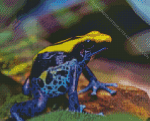 Dart Frogs Diamond Painting