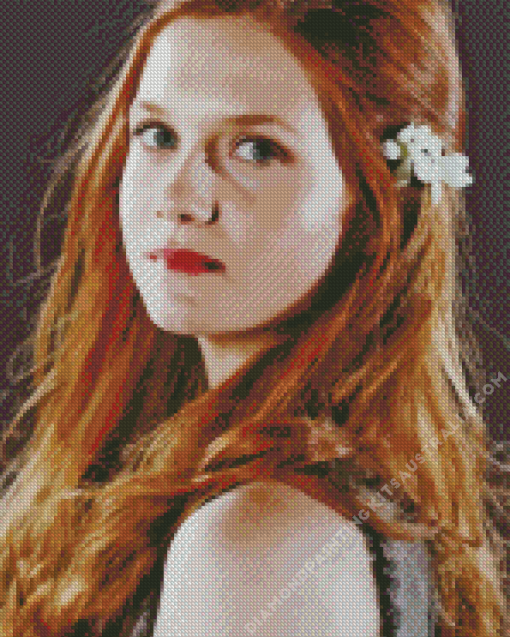 Ginny Weasley Character Diamond Painting