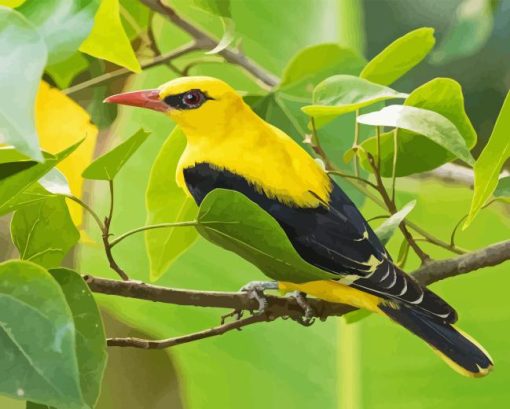 Golden Oriole Diamond Painting