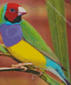 Gouldian Finch Bird Diamond Painting