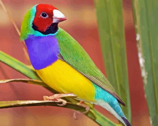 Gouldian Finch Bird Diamond Painting