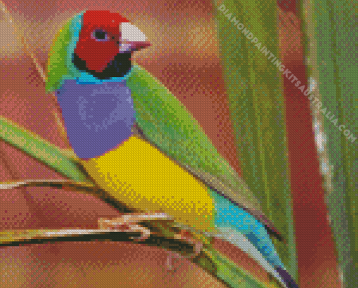 Gouldian Finch Bird Diamond Painting