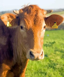 Guernsey Cow Diamond Painting