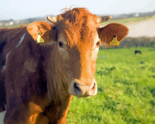 Guernsey Cow Diamond Painting