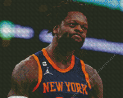 Julius Randle Player Diamond Painting