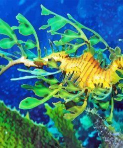 Leafy Seadragon Diamond Painting