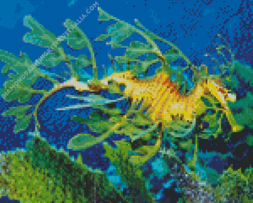 Leafy Seadragon Diamond Painting