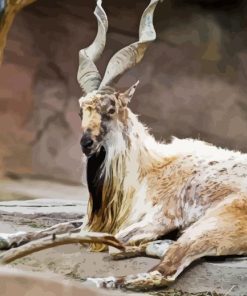 Markhor Animal Diamond Painting