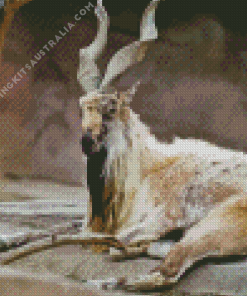 Markhor Animal Diamond Painting