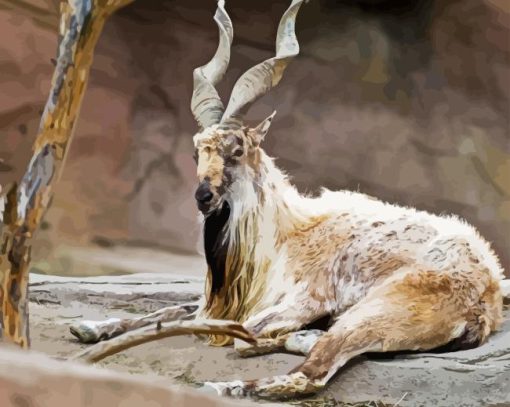 Markhor Animal Diamond Painting