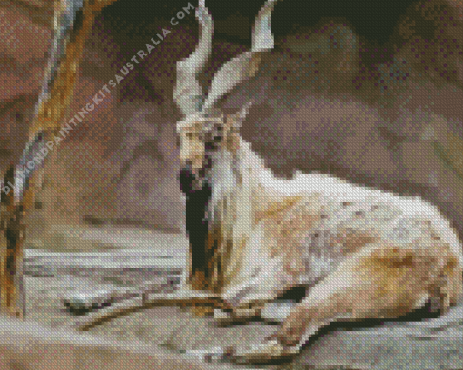 Markhor Animal Diamond Painting