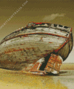 Old Stranded Boat Diamond Painting