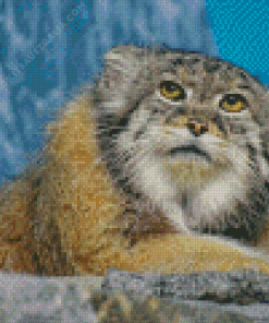 Pallas Cat Diamond Painting