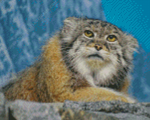 Pallas Cat Diamond Painting