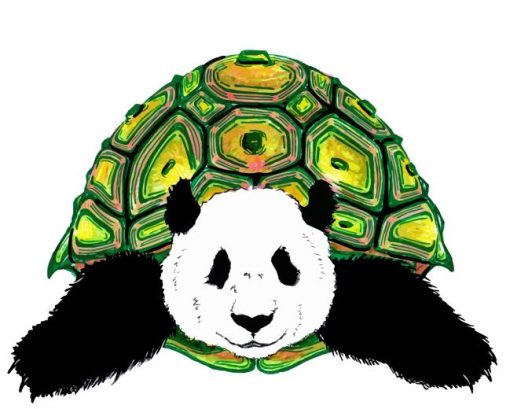 Pandas Turtle Diamond Painting