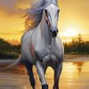 White Stallion Horse Diamond Painting