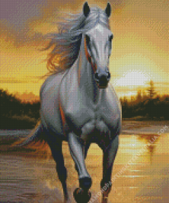 White Stallion Horse Diamond Painting