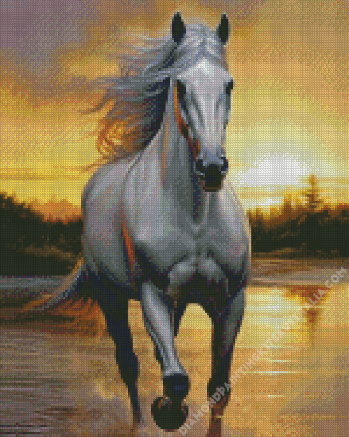 White Stallion Horse Diamond Painting