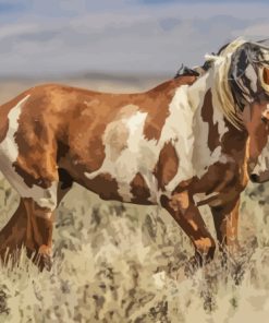 Wild Mustang Diamond Painting