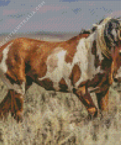 Wild Mustang Diamond Painting