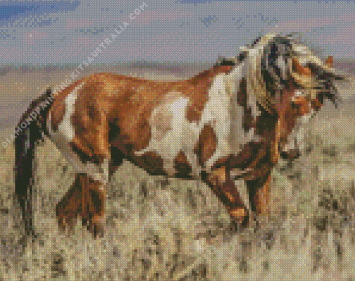 Wild Mustang Diamond Painting