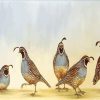 Bevy Of Quails Bird Diamond Painting