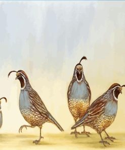 Bevy Of Quails Bird Diamond Painting