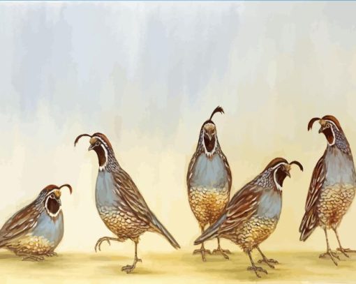 Bevy Of Quails Bird Diamond Painting