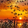 Birds Flock At Sunset Diamond Painting