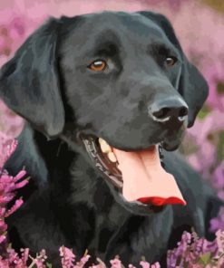 Black Labrador Diamond Painting