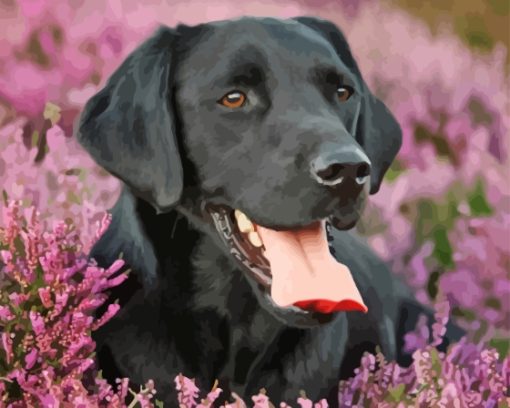 Black Labrador Diamond Painting