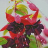 Black Pink Fuchsia Diamond Painting