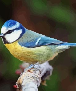 British Blue Tit Diamond Painting