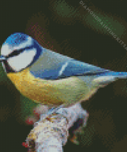 British Blue Tit Diamond Painting