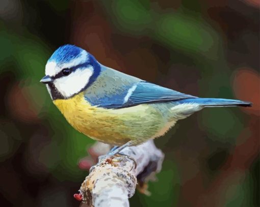 British Blue Tit Diamond Painting