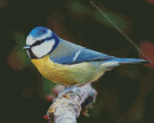 British Blue Tit Diamond Painting