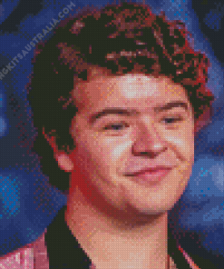 Gaten Matarazzo Diamond Painting