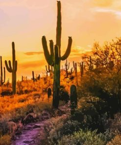 Mesa Arizona At Sunset Diamond Painting