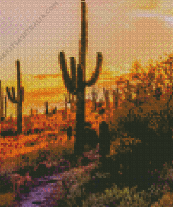 Mesa Arizona At Sunset Diamond Painting