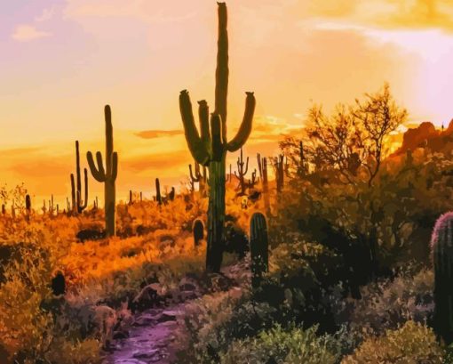 Mesa Arizona At Sunset Diamond Painting