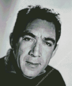 Monochrome Anthony Quinn Diamond Painting