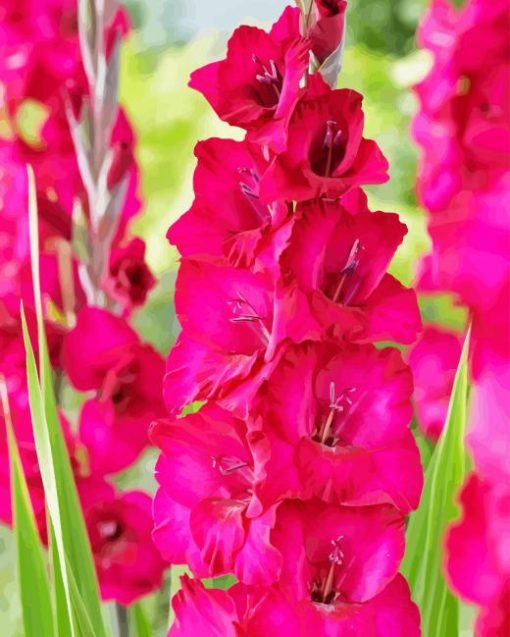 Pink Gladiolus Diamond Painting